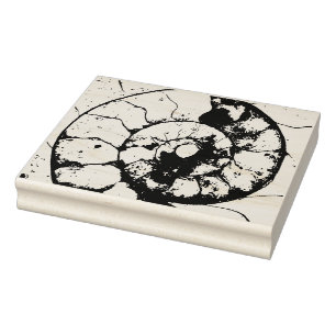 Limestone ammonite rubber stamp