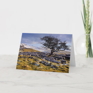 Limestone Country - The Yorkshire Dales Card