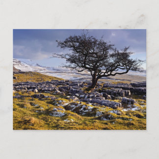 Limestone Country, The Yorkshire Dales post card