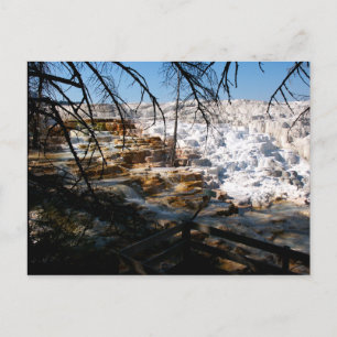 Limestone terrace Mammoth Hot Spring Yellowstone Postcard