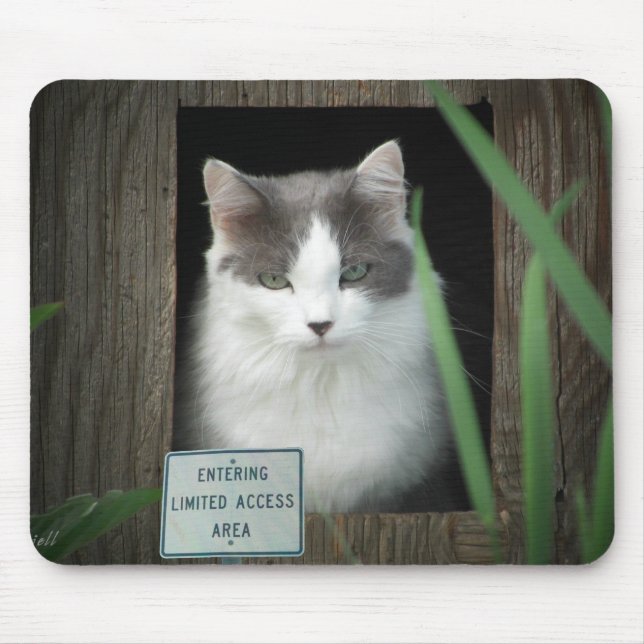 Limited Access Area Mouse Mat (Front)