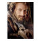 Limited Edition Artwork: Fili