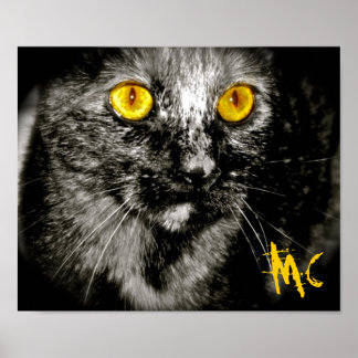 Limited Edition Monkey Cat  Canvas Print