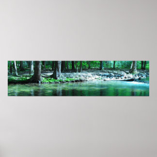 *LIMITED EDITION* "Wide Wonder" Poster