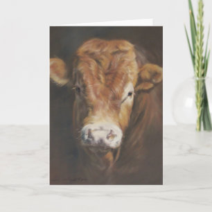 Limousin Bull Card