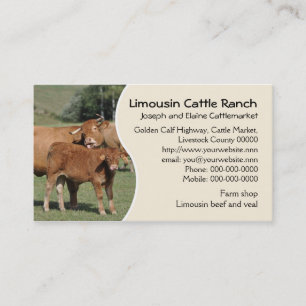 Limousin cattle farm or ranch business card