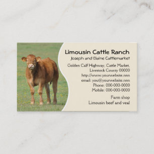 Limousin cattle ranch calf photo business card
