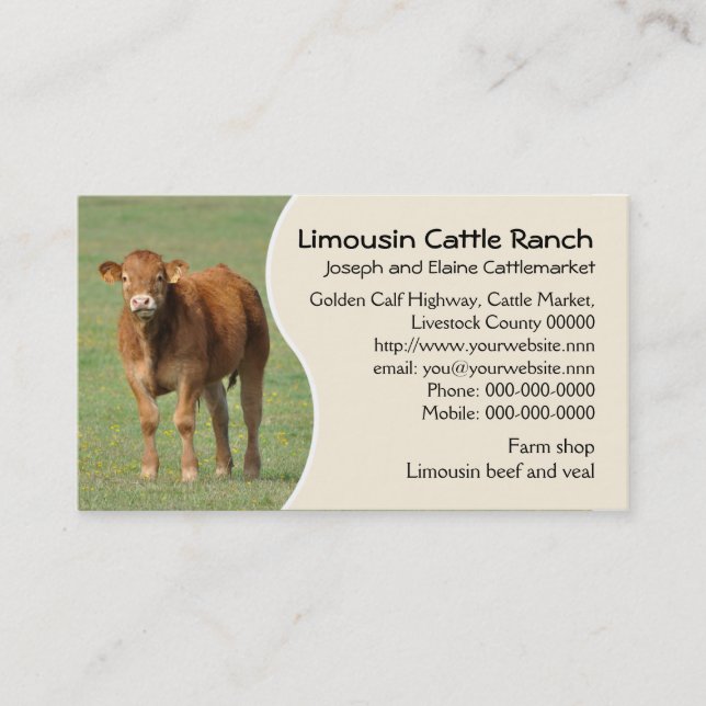 Limousin cattle ranch calf photo business card (Front)