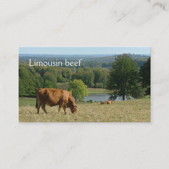 Limousin cows in a rural landscape business card (Front)