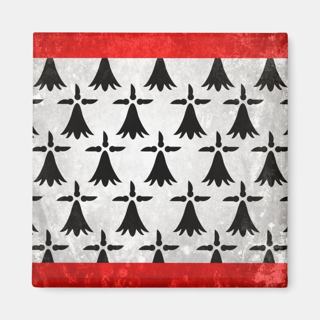 Limousin Magnet (Front)