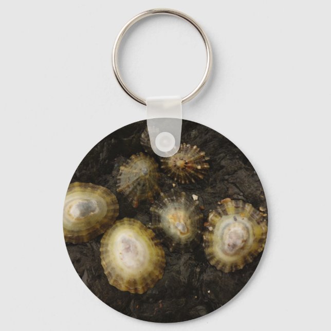 Limpets Keychain (Front)