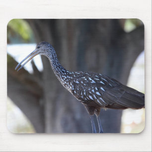 Limpkin Mouse Mat
