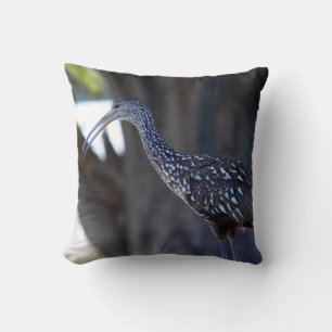 Limpkin, The Crying Bird Cushion