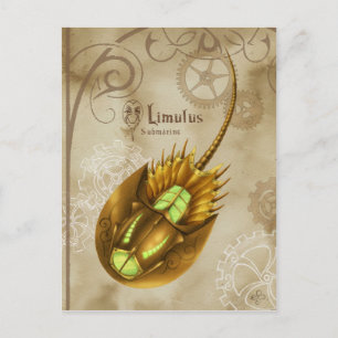 Limulus Submarine Postcard