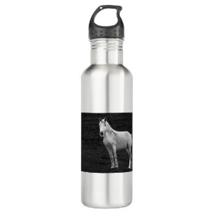 LIN10BW The Stance.tif 710 Ml Water Bottle