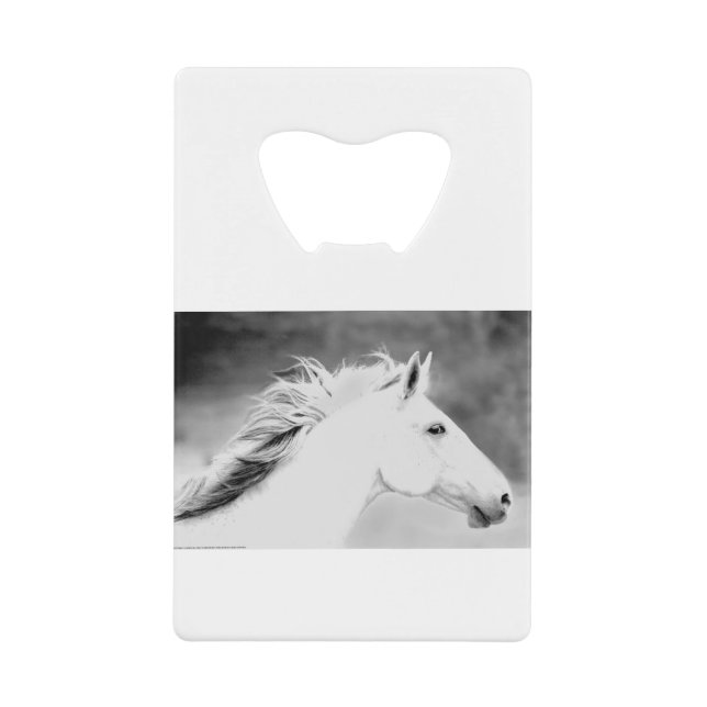 LIN26BW Mane in the Wind.tif (Front)