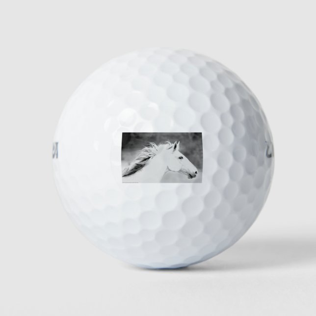 LIN26BW Mane in the Wind.tif Golf Balls (Front)