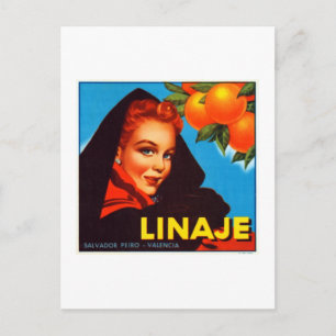 Linaje Valencia Oranges Postcard