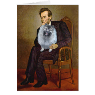 Lincoln - Keeshond (F)