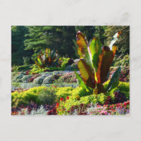 Lincoln, Nebraska Sunken Gardens #224