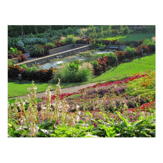 Lincoln, Nebraska Sunken Gardens #224n 0224 Postcard