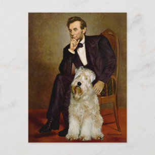 Lincoln - Wheaten Terrier 7 Postcard