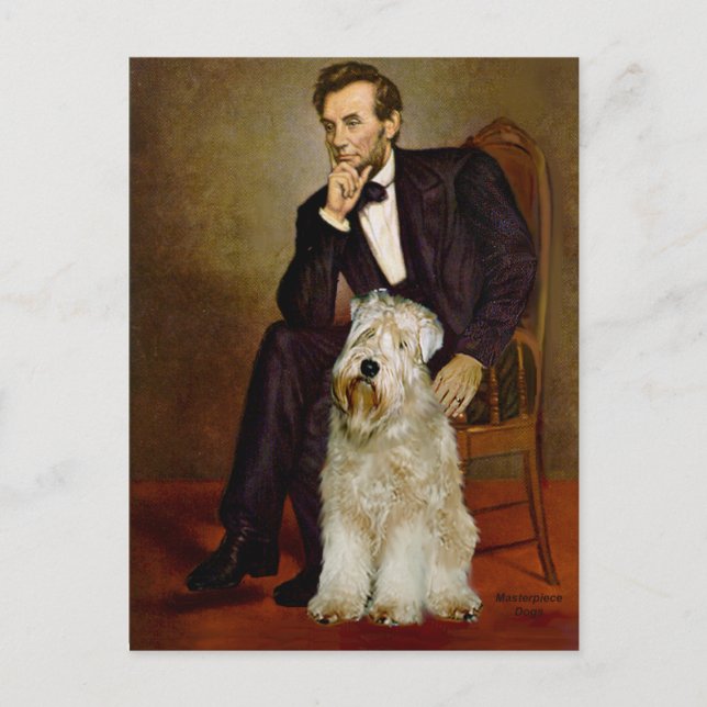 Lincoln - Wheaten Terrier 7 Postcard (Front)