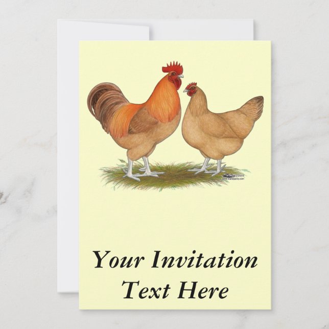 Lincolnshire Buff Chickens Invitation (Front)