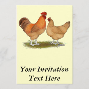 Lincolnshire Buff Chickens Invitation