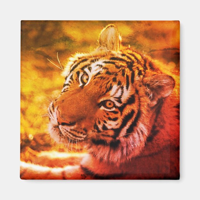 Linda Expressão de Tigre Deitado. Magnet (Front)