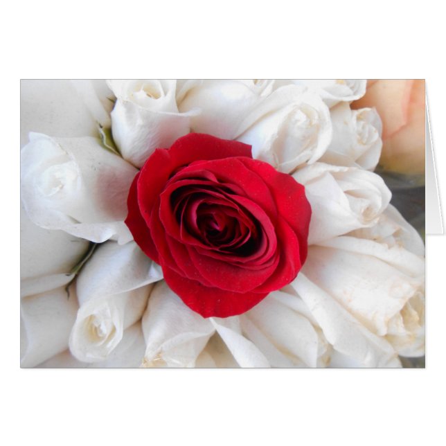 Lindegren (Front Horizontal)