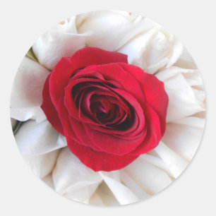 Lindegren Classic Round Sticker