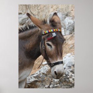 Lindos Donkey Poster