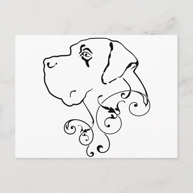 Line Drawing Great Dane Head Postcard (Front)
