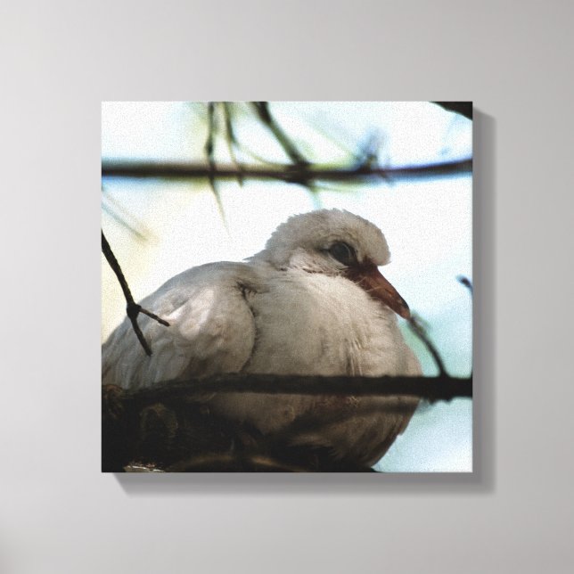 Line Master Canvas Print (Front)