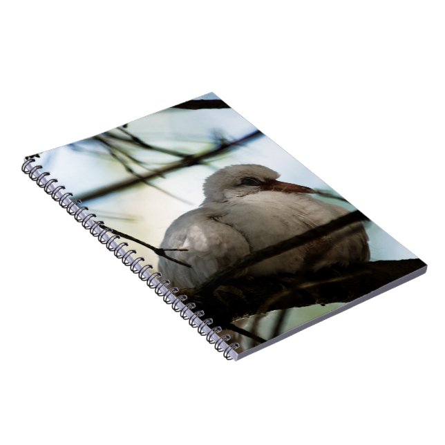 Line Master Notebook (Right Side)