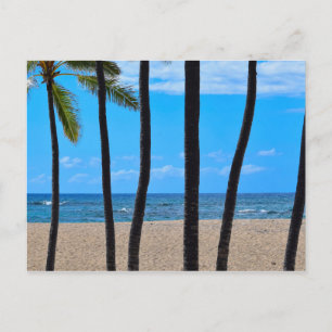 Line of Beach Palms - Hawaii - Postcard