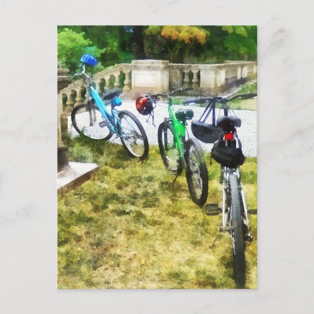 Line of Bicycles in Park Postcard (Front)