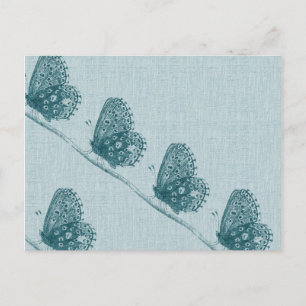 Line of Butterflies Postcard