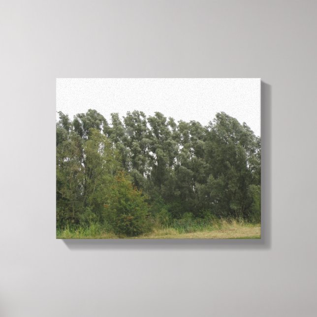 Line of Leaning Trees Landscape Canvas Print (Front)