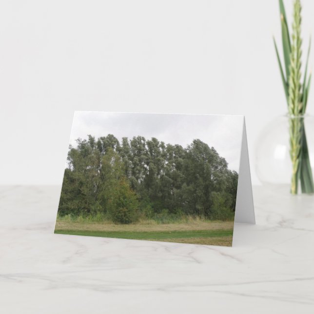 Line of Leaning Trees Landscape Greeting Card (Front)