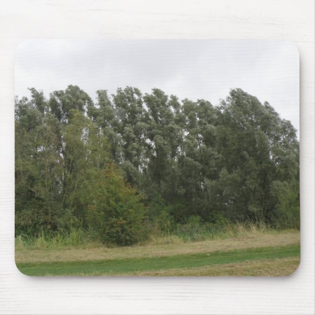 Line of Leaning Trees Landscape Mousepad (Front)