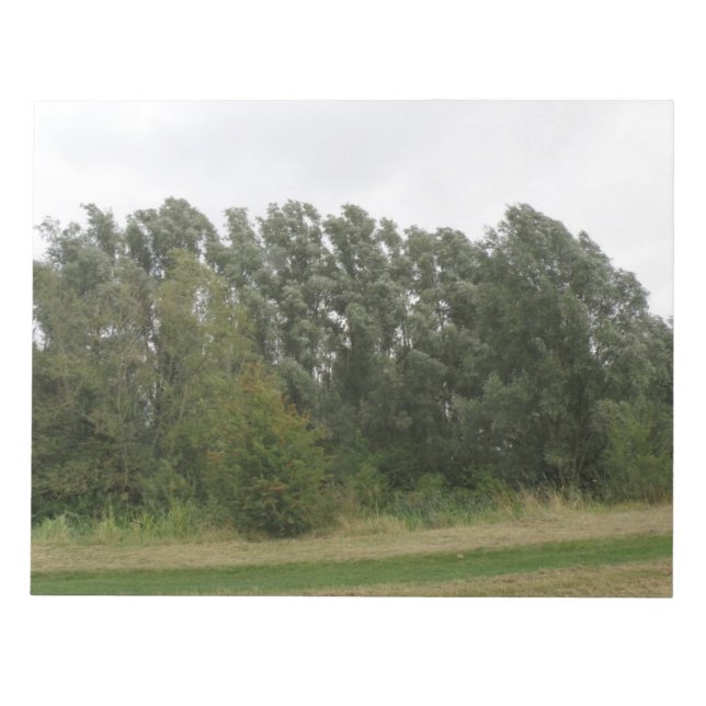 Line of Leaning Trees Landscape Notepad (Front)