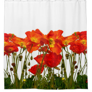 Line of red poppies isolatedart, background, beaut shower curtain