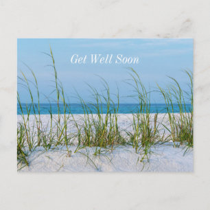 Line Of Sea Oats In White Sand Get Well Soon Postcard