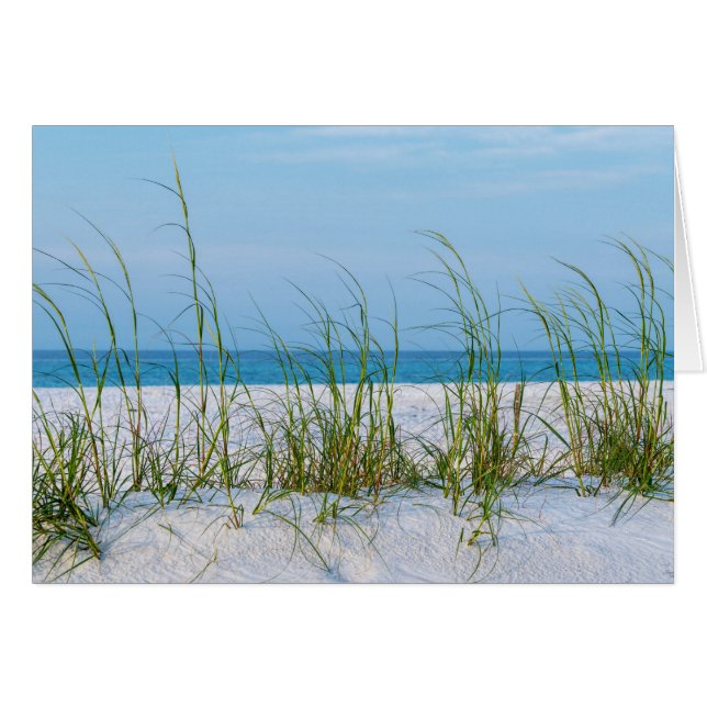 Line Of Sea Oats In White Sand Greeting Card (Front Horizontal)