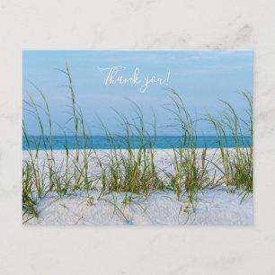Line Of Sea Oats In White Sand Thank you Postcard