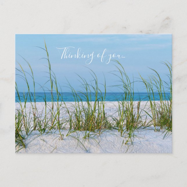 Line Of Sea Oats In White Sand Thinking Of You Postcard (Front)
