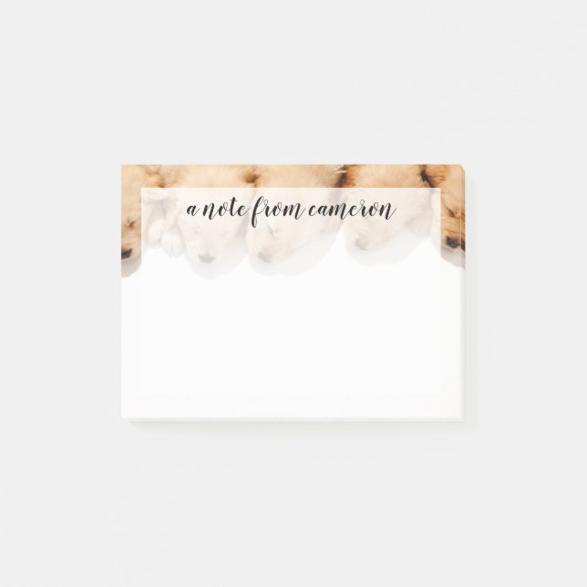 Line of Sleeping Golden Retriever Puppies Post-it Notes (Front)