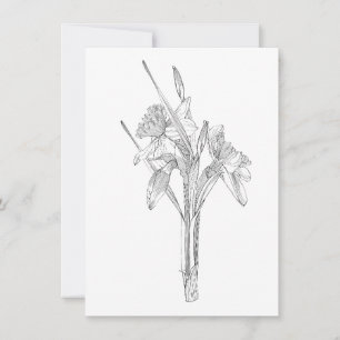Line sketch daffodils bouquet.  announcement